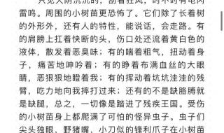 奇妙的想象作文300字左右