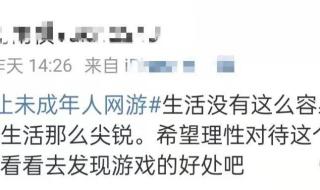 代表建议禁止未成年玩网游