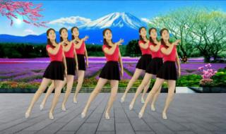 我听过你的歌我的大哥哥