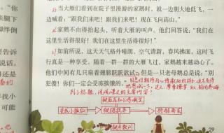 骑鹅旅行记梗概450字