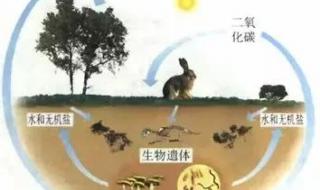 初中生物会考复习资料
